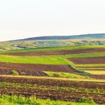 Arendă 2026: Arendatori și arendași, ce drepturi și obligații au?