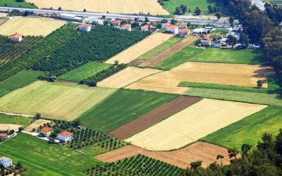 Atenție: Cum cumperi teren în 2026? Documentele cheie pentru vânzare