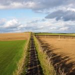 Ocupare ilegală de teren: Ce riscă proprietarii și cum își recuperează terenul