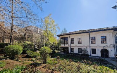 Pallady revine: Muzeul își redeschide porțile cu o expoziție refăcută