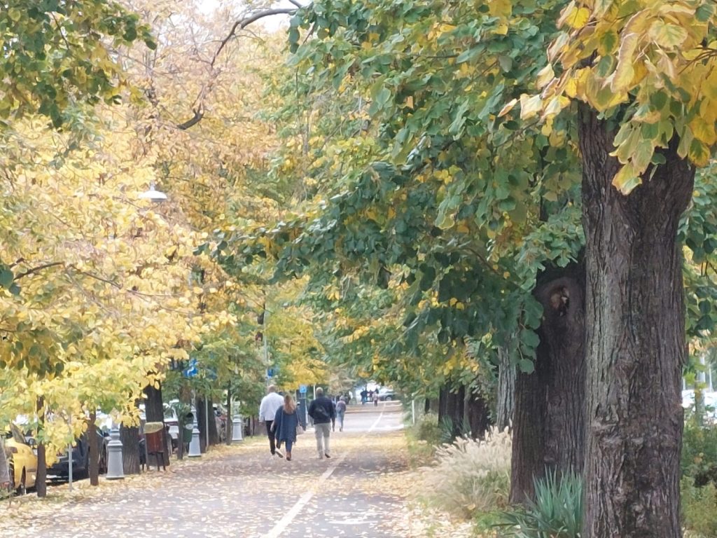 Declic cere: Parcul Donald Trump, rebotezat Maria Cuțarida-Crătunescu