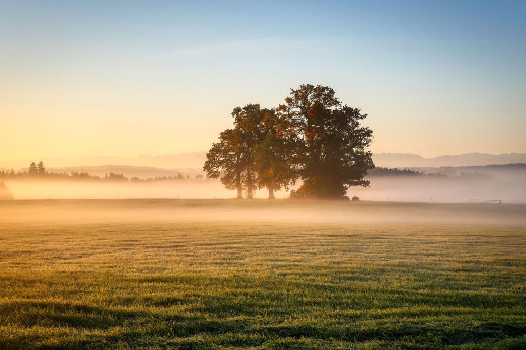 METEO: Vreme rece în România! ANM anunță temperaturi sub normal, până pe 18 mai
