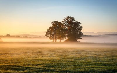 METEO: Vreme rece în România! ANM anunță temperaturi sub normal, până pe 18 mai