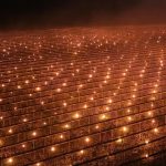 Fermă din Cluj, soluție extremă anti-îngheț: A dat foc la 40.000 de euro