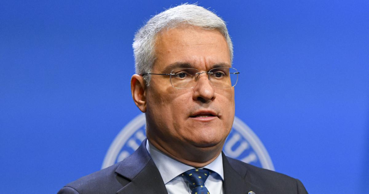 Ancheta în cazul microbuzelor PNRR: Pîslaru anunță diferențe de preț