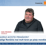 Vinarium Ploiești: 1.600 de vinuri la concurs, majoritatea din străinătate
