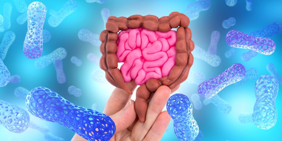 O proteină din intestinul tău luptă cu bacteriile periculoase