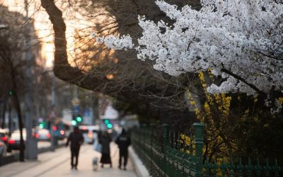 ANM: Vreme de primăvară în România! Temperaturi ridicate în regiunile intracarpatice