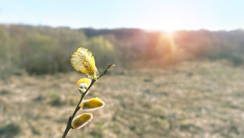 Vremea se schimbă radical de Paște, anunță meteorologii