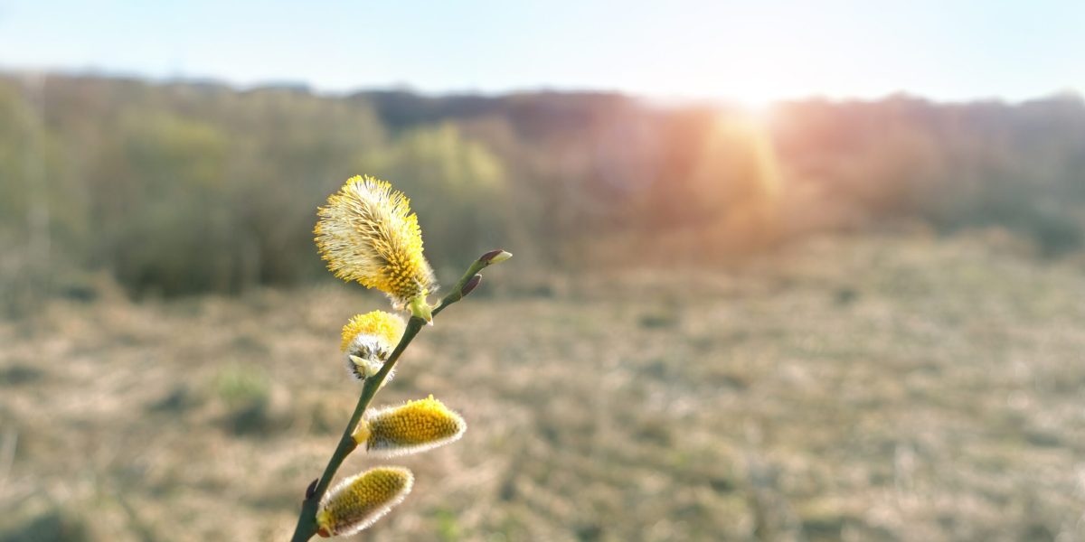 Vremea se schimbă radical de Paște, anunță meteorologii
