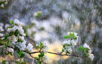 Meteorologii anunță: 1 Mai cu frig și ploi în cea mai mare parte a României