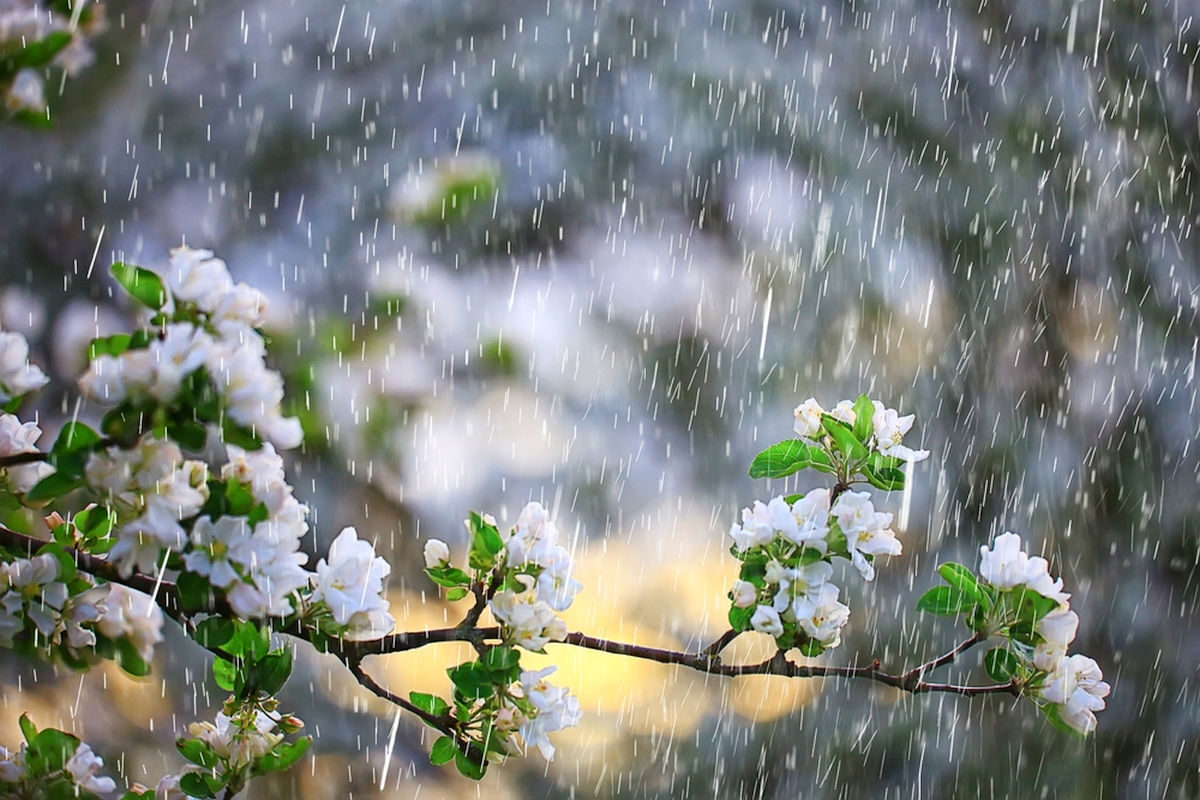 Meteorologii anunță: 1 Mai cu frig și ploi în cea mai mare parte a României