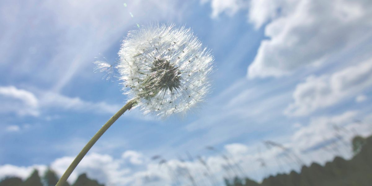 Vremea se încinge în România: ANM anunță ce ne așteaptă patru săptămâni