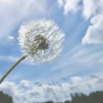 Vremea se încinge în România: ANM anunță ce ne așteaptă patru săptămâni