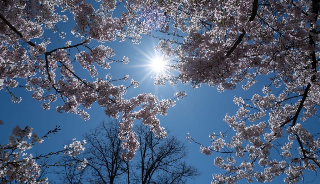 Prognoza meteo de 1 Mai: Ce vreme ne așteaptă în România