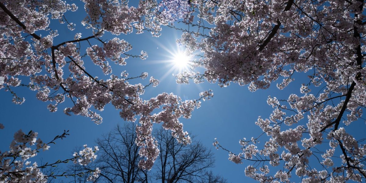 Prognoza meteo de 1 Mai: Ce vreme ne așteaptă în România