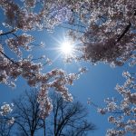 Prognoza meteo de 1 Mai: Ce vreme ne așteaptă în România