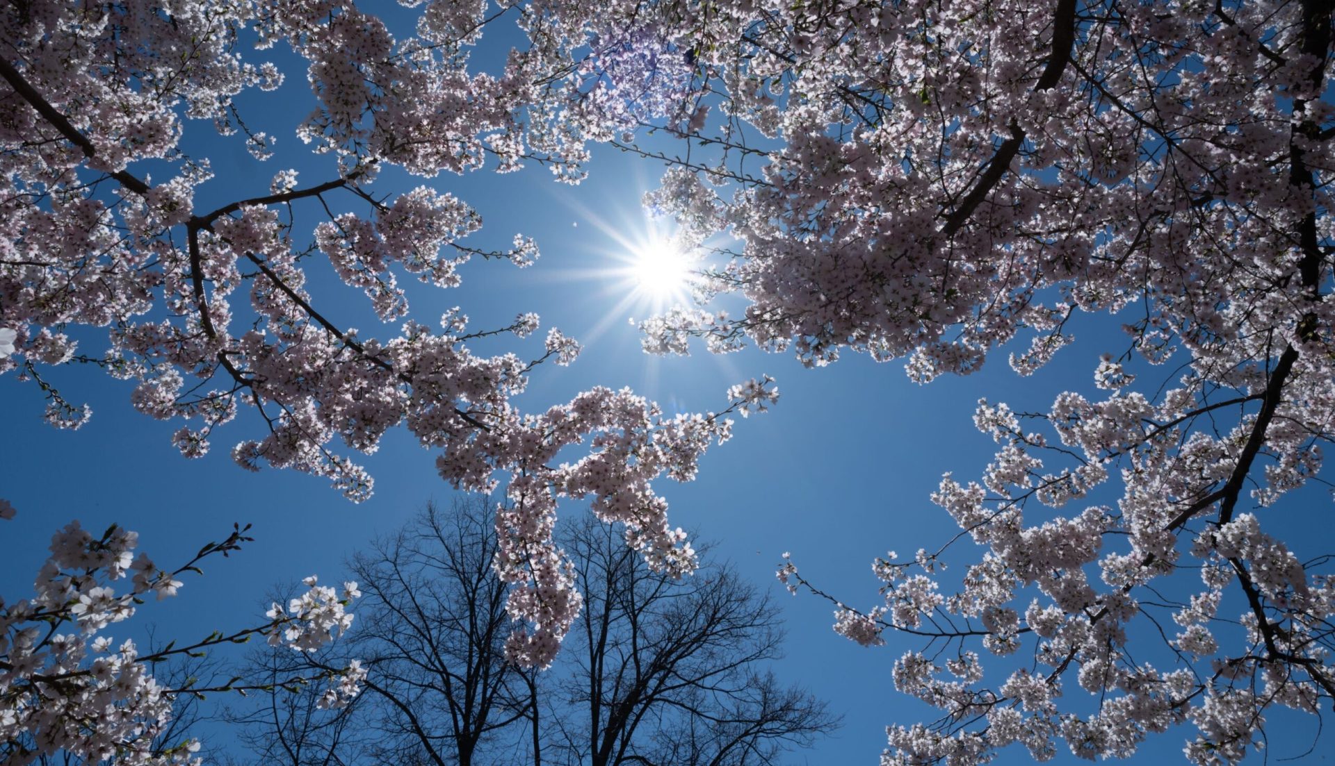 Prognoza meteo de 1 Mai: Ce vreme ne așteaptă în România