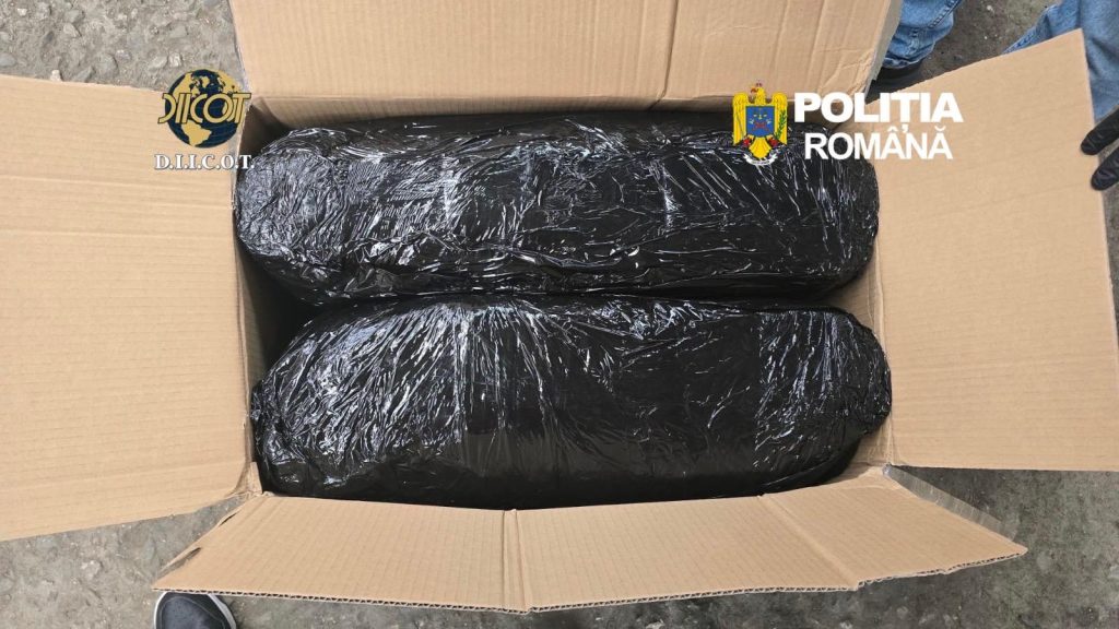 Captură de PROPORȚII la Târgu Mureș: Peste 13 kg de cannabis, aduse din Spania