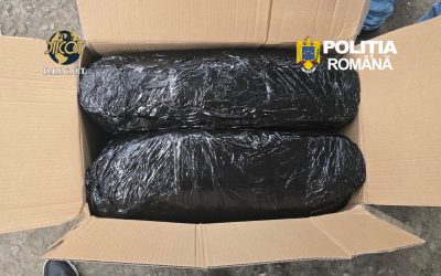 Captură de PROPORȚII la Târgu Mureș: Peste 13 kg de cannabis, aduse din Spania