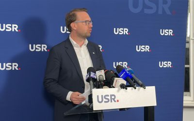 PSD, pisicuță ce se visează leu: oglinda reflectă o altă realitate