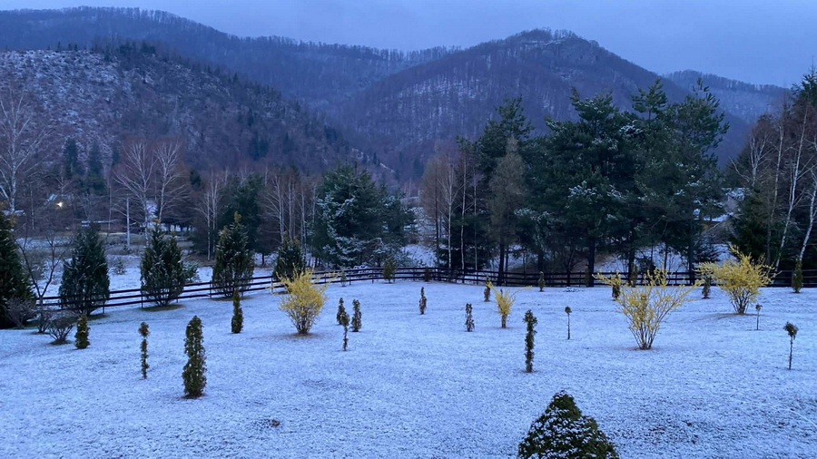 Zăpada Miei: Ninsoare neașteptată în Munții Bihor, chiar înainte de Paște