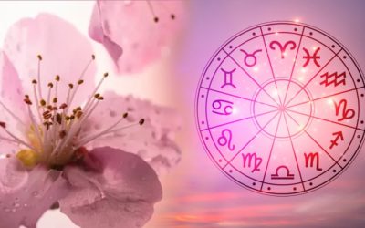 Taurii, gata să rupă legături toxice. Fecioarele, pe valul succesului!