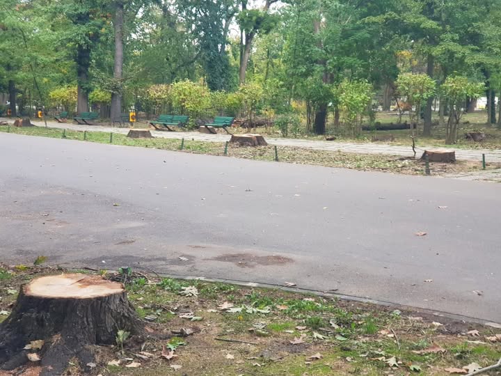 Bucureștenii decid viitorul Parcului Herăstrău: Cum îl vor după restaurare