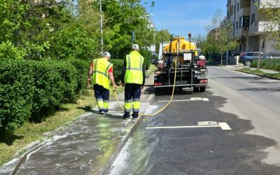 Curățenia de primăvară: Sectorul 6, atac în Drumul Taberei!