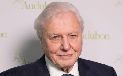 Alimentul-secret al lui David Attenborough: De ce a renunțat la el pentru longevitate