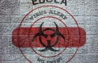 OMS: Tratamente și vaccinuri anti-Ebola, testate în studii clinice
