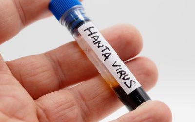 Hantavirus: Îngrijorare în Caraș-Severin, dar INSP dă verdictul: analize negative