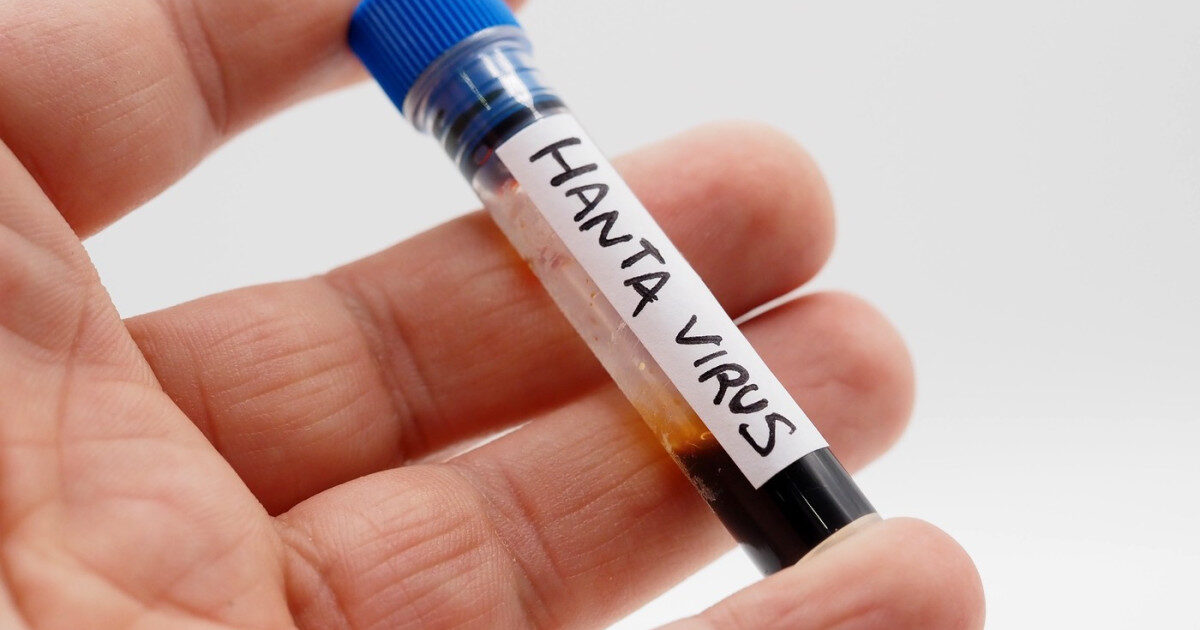 Hantavirus: Îngrijorare în Caraș-Severin, dar INSP dă verdictul: analize negative