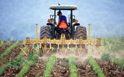SUA presează Europa să relaxeze restricțiile la importul de potasiu din Belarus