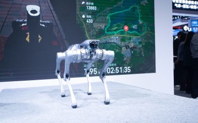 Robocâinele spion din China: Omul cumpără pază, dar e raportat!