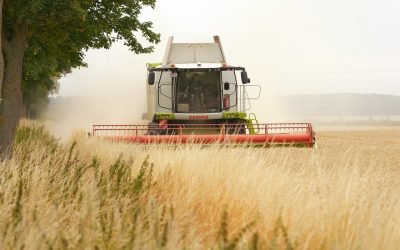 UE cere mai mulți bani pentru planul de îngrășăminte
