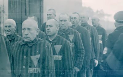Centrul German Dezvăluie Complicitatea cu Nazismul