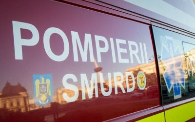 Timiș: Adolescentă de 17 ani, moartă într-o baltă