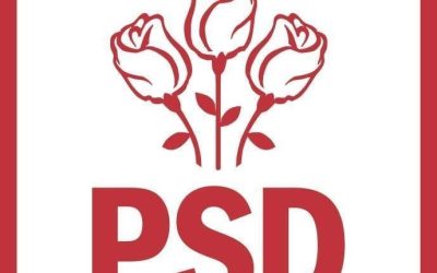 PSD, unanimitate pentru Guvernul Veștea – surse