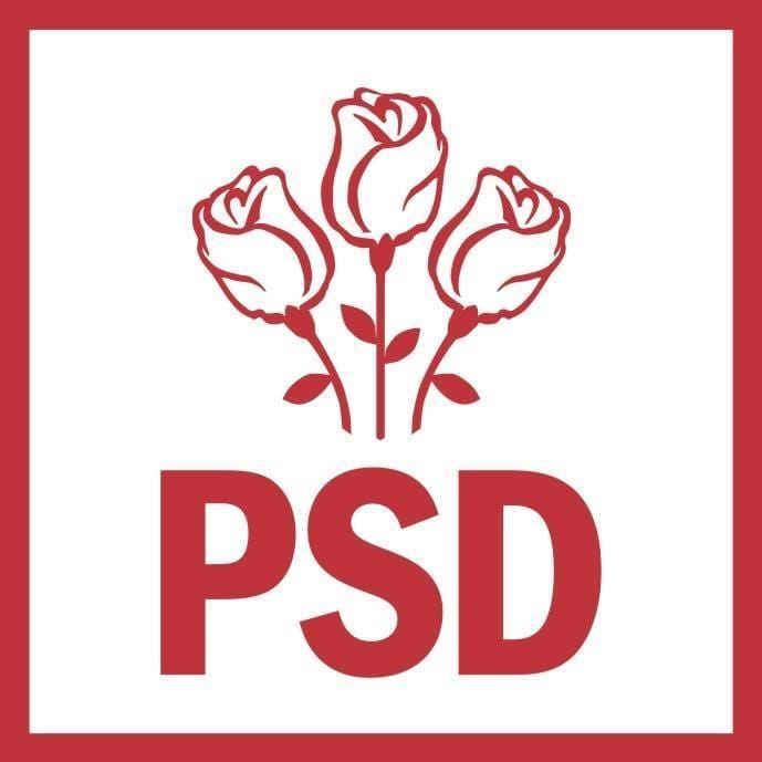 PSD, unanimitate pentru Guvernul Veștea – surse