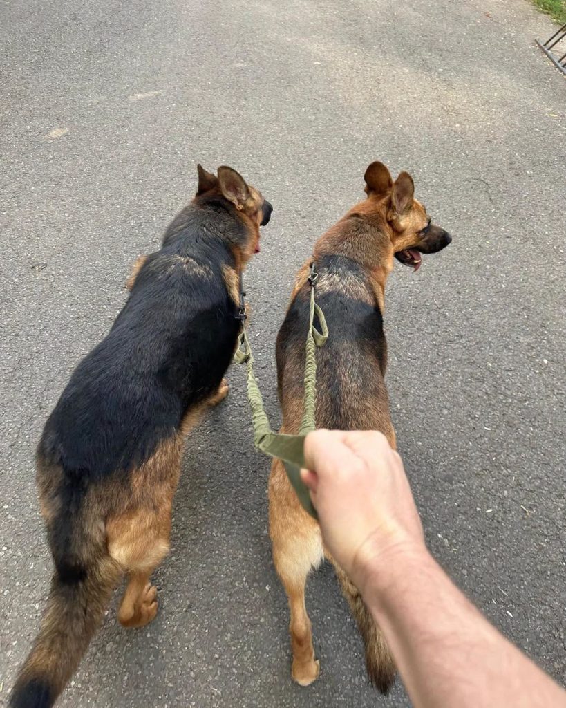 Cum ți-ai petrecut duminica: Scoaterea din rutină