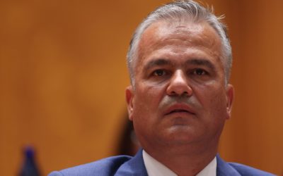 Veștea, PNL-ist PNL-ist: „Să revenim la matricea identitară!”