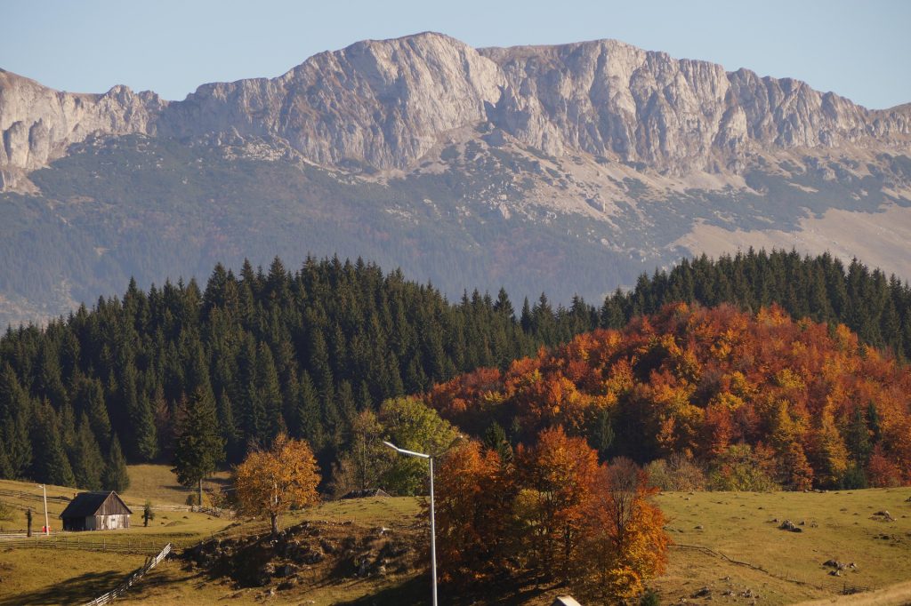 Gumuțeasca, limba uitată de un veac, trăiește în satul românesc
