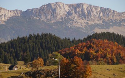Gumuțeasca, limba uitată de un veac, trăiește în satul românesc