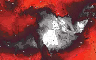 Foc în 8 țări arabe: Peste 50 de grade Celsius
