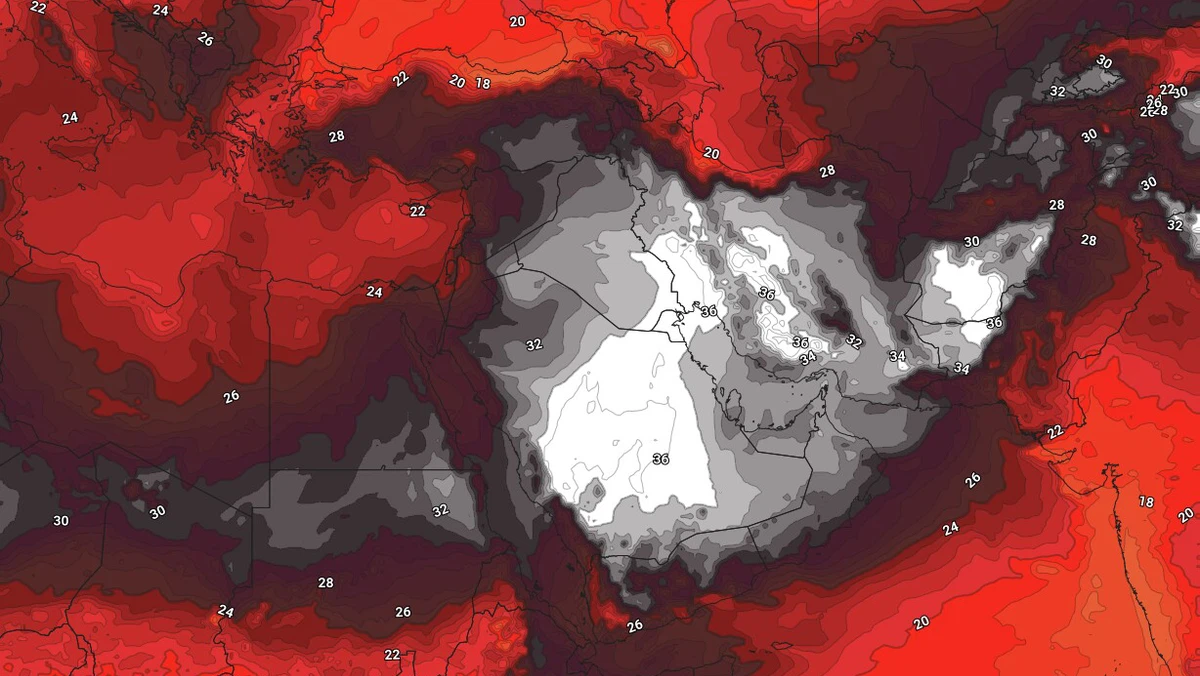 Foc în 8 țări arabe: Peste 50 de grade Celsius
