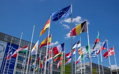 6 țări UE cer taxe mai mari la petrol