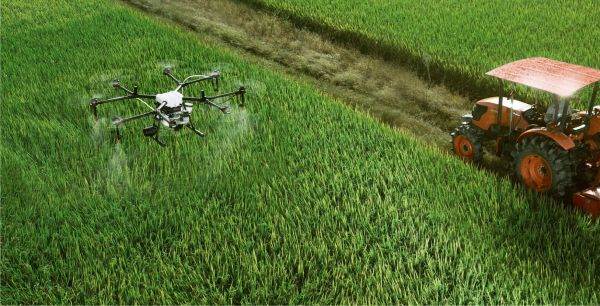Agricultura, gata cu loteria: noi șanse