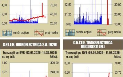 BVB în roșu: Majoritatea indicilor pierd teren