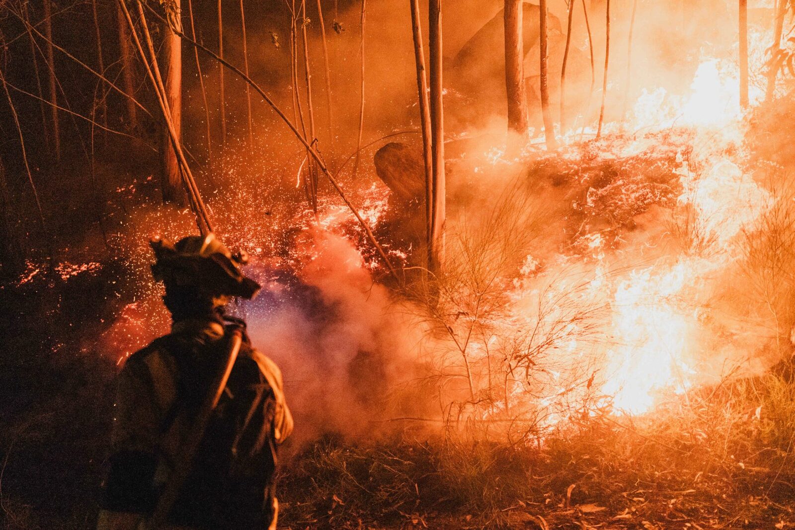 Spania: MAE avertizează, Valencia sub Cod Roșu de incendii